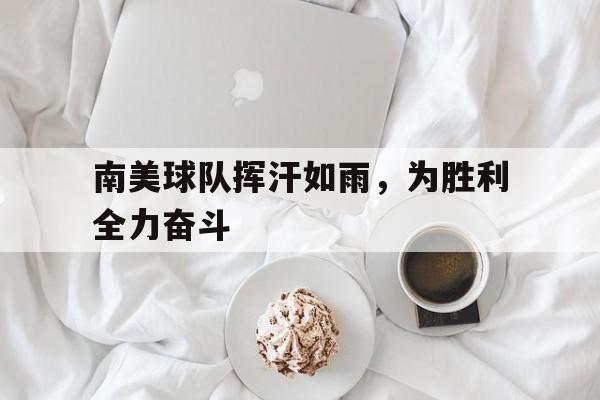 关于南美球队挥汗如雨，为胜利全力奋斗的信息